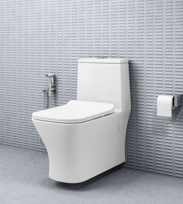 ASTER - 11AST - WHOP